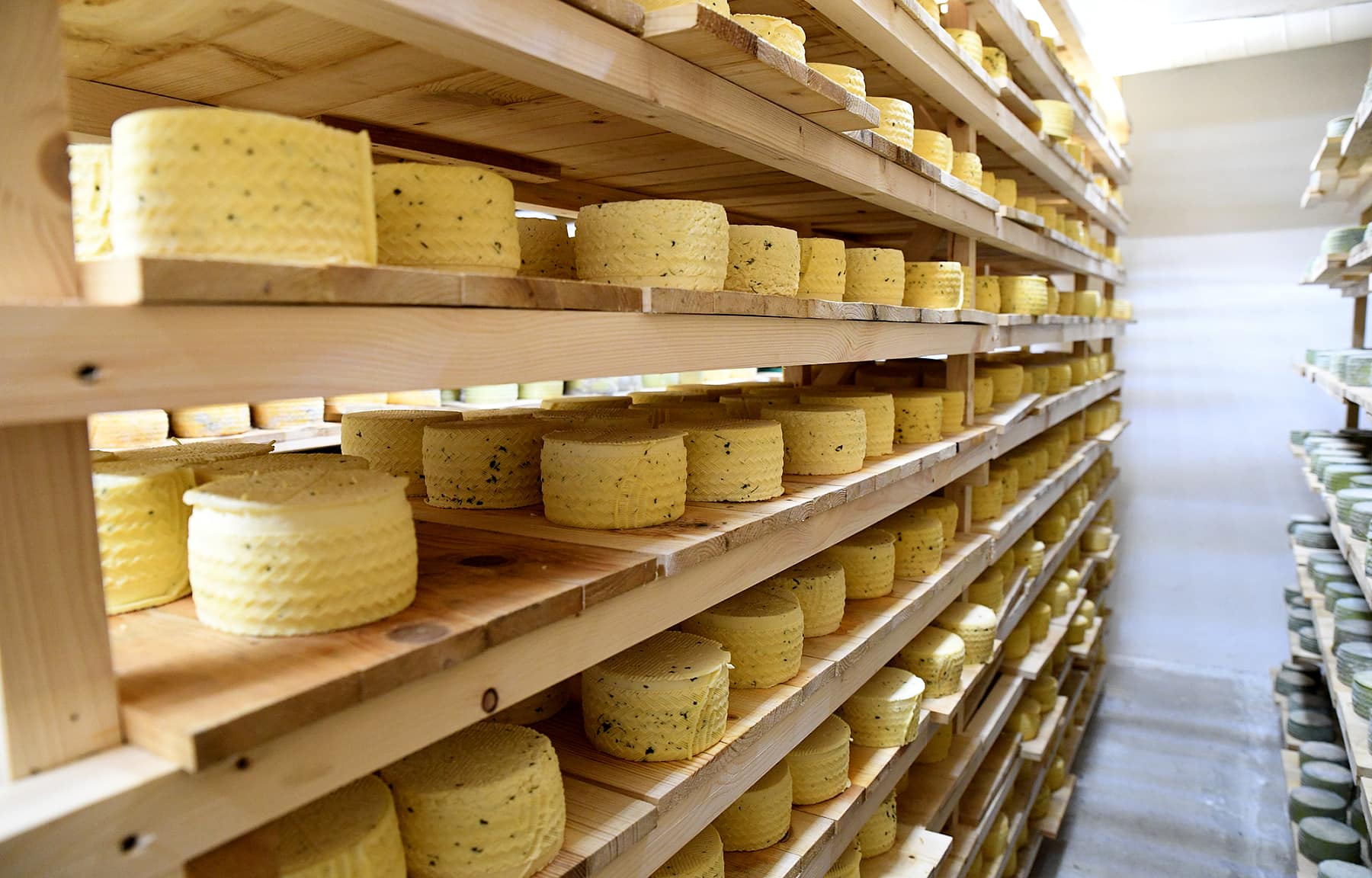 Гастрономическое наследие Твери: вкусы, традиции, культура питания - 4